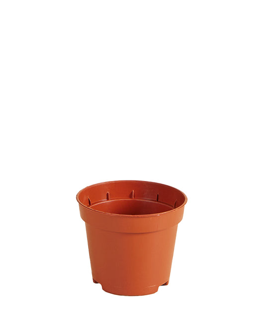 Kweekpot Oranje