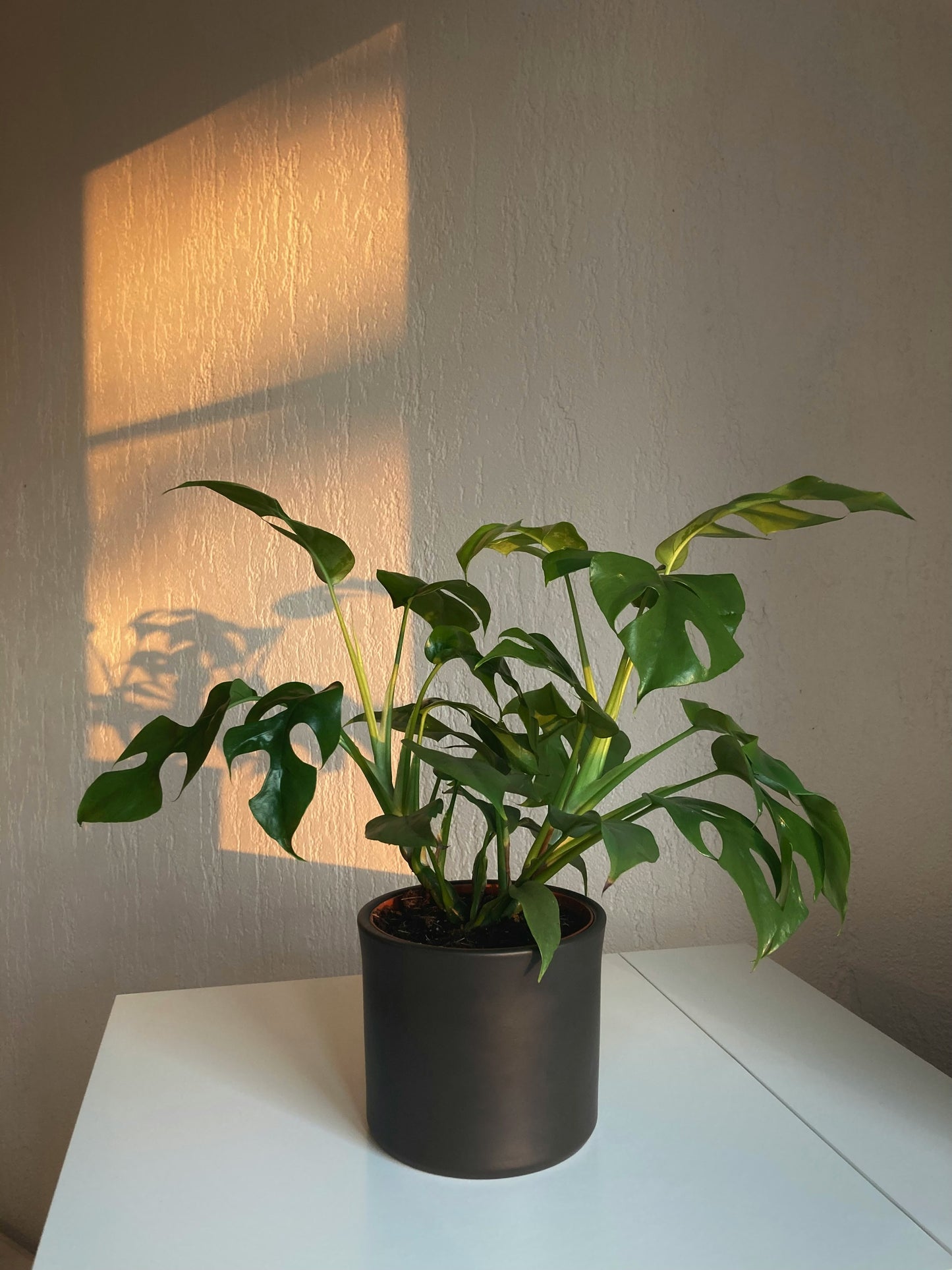 Minima